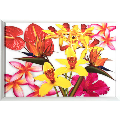 Flower Pop Print by Larry Laslo
