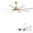 66 Inch Low Profile ABS Ceiling Fan With Dimmable Lights And Smart Remote Control 6 Speed Reversible Noiseless DC Motor For Indoor