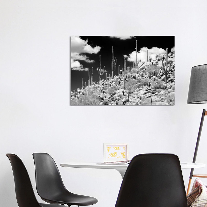 Saguaro Cactus Hill by Philippe Hugonnard - Wrapped Canvas Print, 101.6 cm H x 66.04 cm W x 1.91 cm D