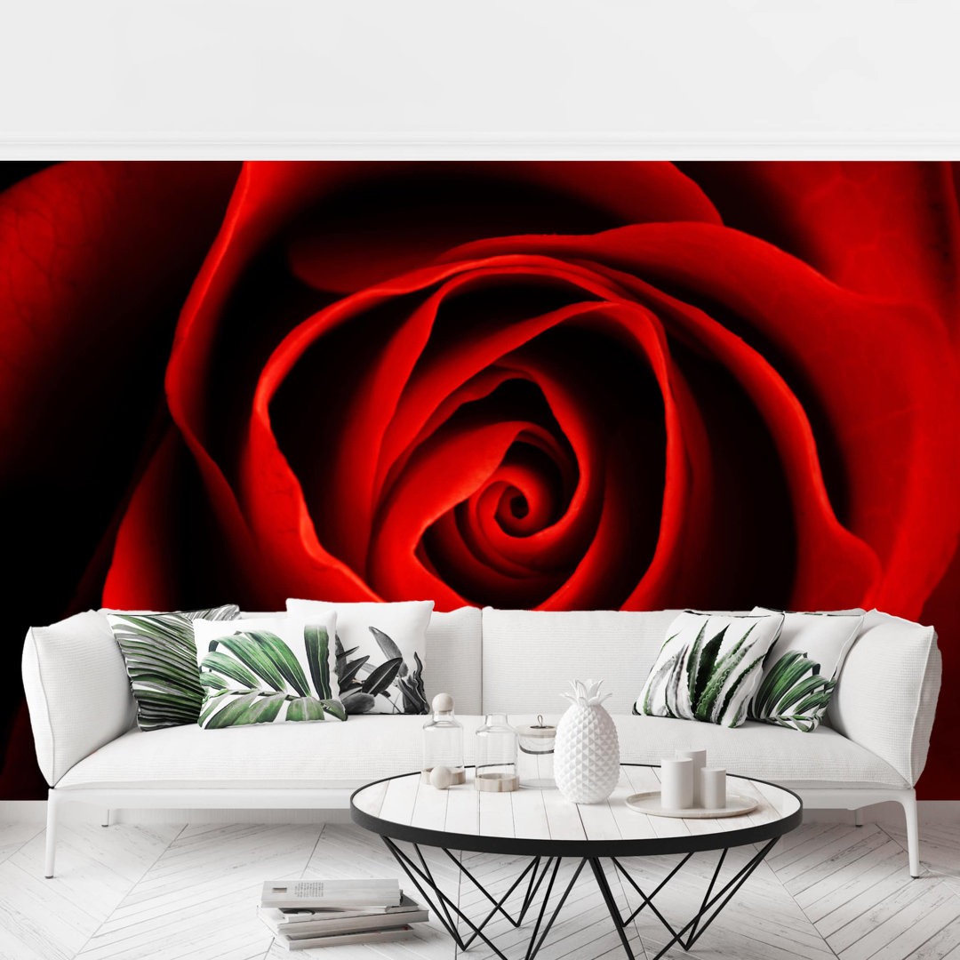 Matt Fototapete Liebliche Rose 3,2 m x 480 cm