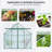 8X6FT-Green Double Door Polycarbonate Greenhouse-119140039-119140042