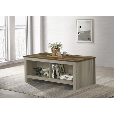 Table basse en chêne gris de 43 po avec tablettes ouvertes à l'avant et à l'arrière
