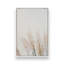 Impression sur toile Pampas Whisper-1587452715-1587452705
