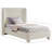 Hridhaan Upholstered Unfinished Wingback Bed-89228085-89228078