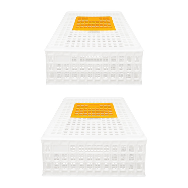 Cage de transport en plastique en plastique, Blanc