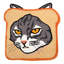Tapis fantaisie Purr-fect