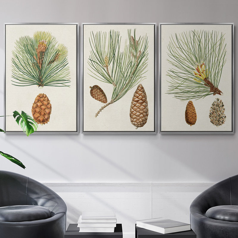 Antique Pine Cones II - 3 pièces, impression sur toile, H 27 po x l 54 po, Argent