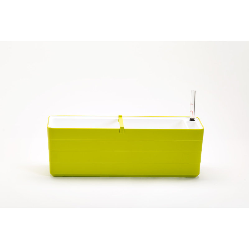 Boîte à fleurs avec réservoir Justiz, H 8 po x l 32 po x P 8 po, Lime / Blanc