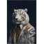 Tapis décoratif moderne à motif de tigre noble à minuit bleu-722139178