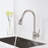 FLG Pull Out Kitchen Faucet