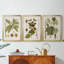 Antique Leaves I - Toile tendue avec châssis sur mesure - 3 pièces-854382223-854382220