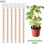 Ensemble d'antennes de 11,8 po avec 6 piquets de cuivre pour les plantes