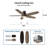 Gurdip 5-blade pull chain ceiling fan with light