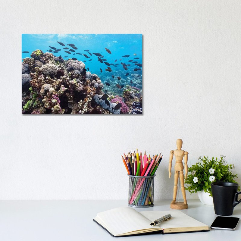 Reef Fish & Coral by James Vodicka - Wrapped Canvas Gallery-Wrapped Canvas Giclée, 20.32cm H x 30.48cm W
