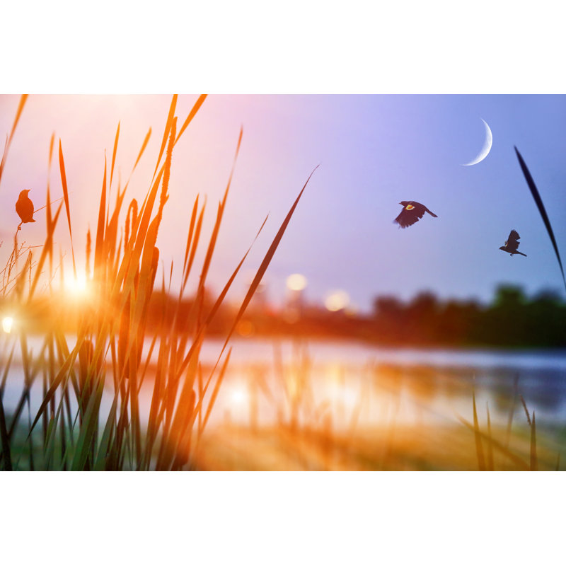 Tranquil Lake by Georgepeters - Wrapped Canvas Print, 61cm H x 91cm W