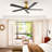 5 - Blade Propeller Ceiling Fan With Remote Control