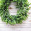Couronne en plastique eucalyptus-726362230