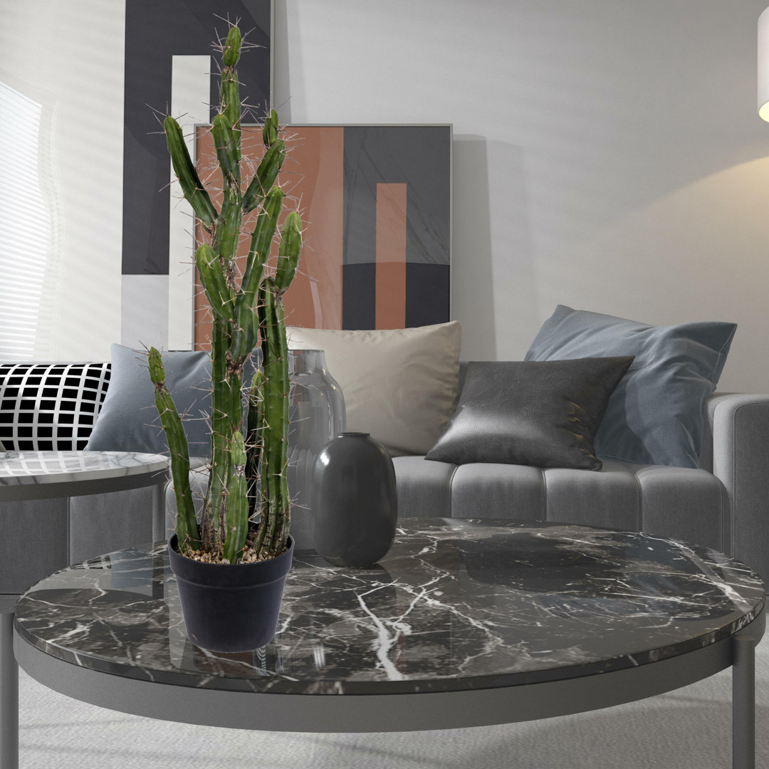 Artificial Green Cactus, Black Plastic Planters Pot Union Rustic Size: 34" H x 7" W x 9" D