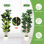 Figuier figuier figuier avec grand pot à fleurs blanc, faux arbres avec plantes artificielles 56 feuilles de violon-111312737