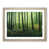 Oak Framed