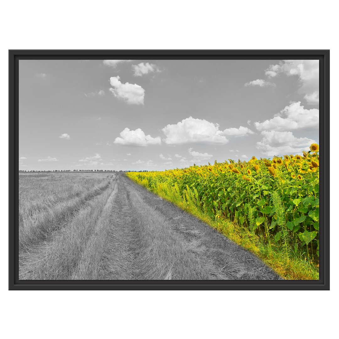 Gerahmtes Wandbild Feldweg  Sonnenblumen