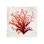 Pomegranate Coral II Print by Sofia Fox