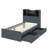 Danylle Twin Platform Bed Frame with 4 Open Shelves, 2 Storage Drawers and LED Light-1646557735
