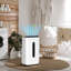 Console Dehumidifier