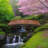 Japanese Zen Garden Bridge 8 ft