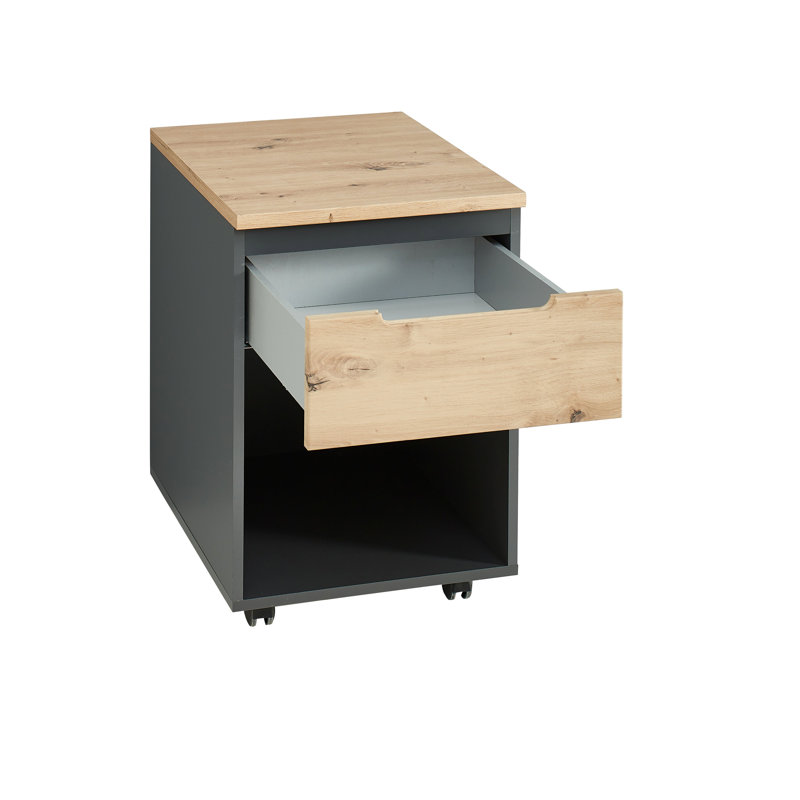 Romilio 1 -Drawer Storage Cabinet