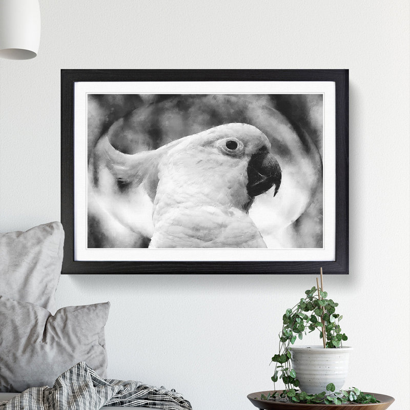 Cockatoo Bird Vol.2 - Picture Frame Graphic Art, 27cm H x 36cm W x 2cm D, Black Framed