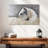 Brampt White Beauty-108876848