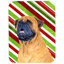 Red Barrel Studio Lachlan Mastiff Candy Cane Holiday Christmas Glass Cutting Board