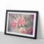 Pale Pink Carnation Flowers in Abstract - Framed Print-55735274-55735276