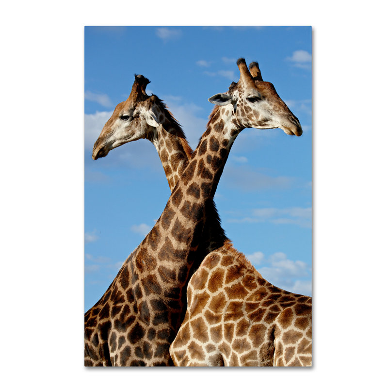 Ann "Two Giraffes", reproduction de photo sur toile tendue, H 19 po x l 12 po