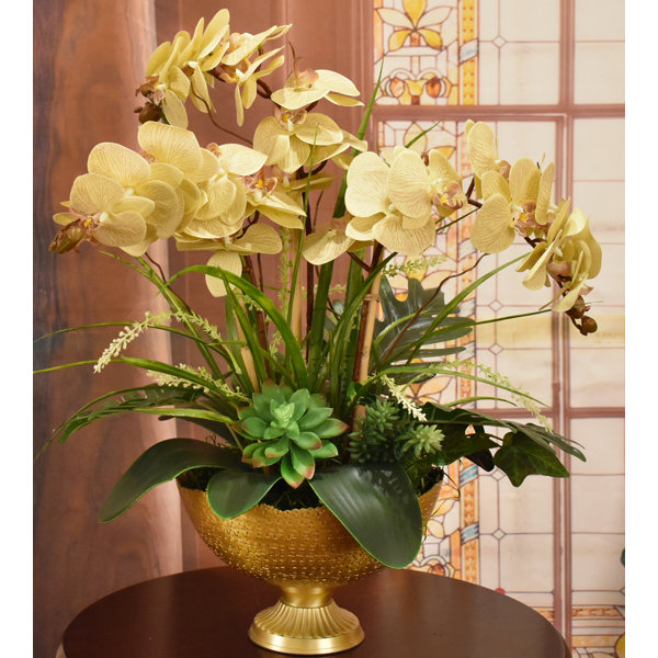 Primrue Faux Silk Orchids Arrangement & Reviews - Wayfair Canada