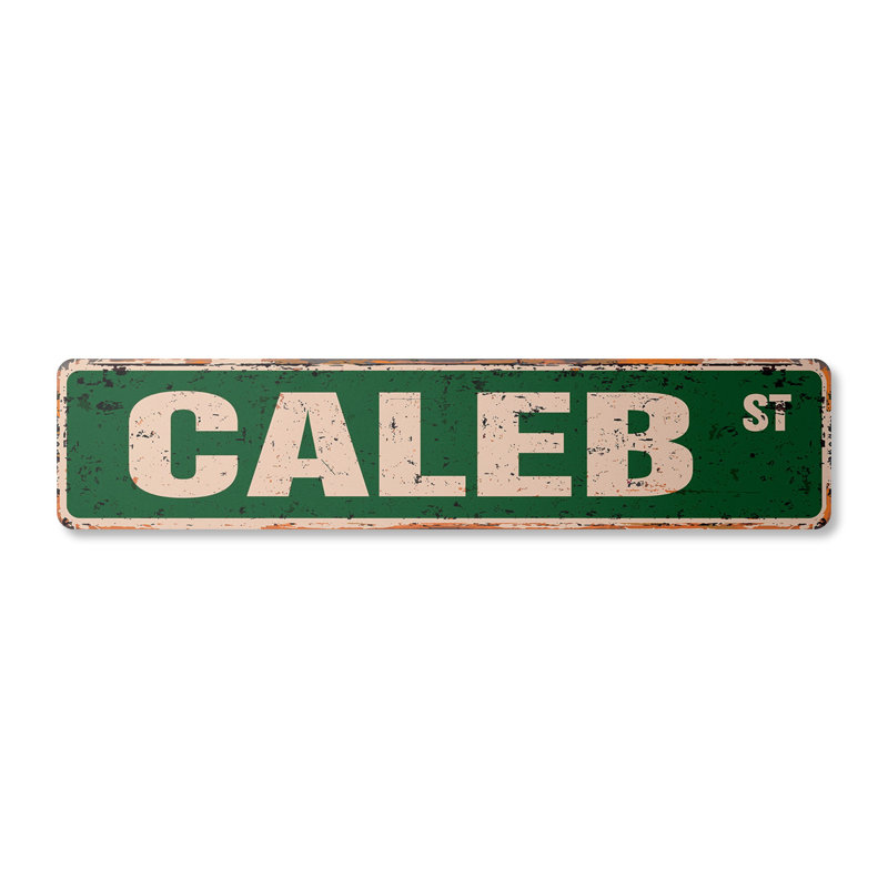 Plaque de rue Caleb en plastique robuste 7 po x 30 po, H 7 po x l 30 po x P 0,1 po, Vert/blanc