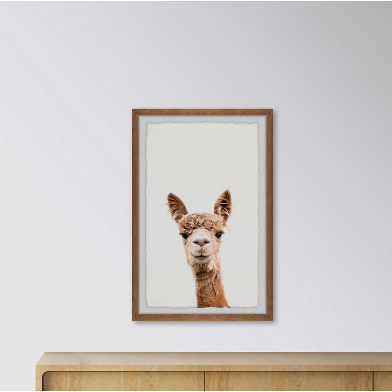 « llama face iv »-impression d’art graphique encadrée sur papier, H 24 po x l 16 po x P 1,5 po