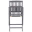 Ensemble de 2 chaises d'extérieur vidaXL