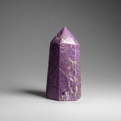 Véritable pointe de lépidolite polie de Madagascar (1 lb)