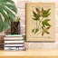 Epic Graffiti 'Atragene Alpina'  by Art Licencing Studio Canvas Wall Art, 26" x 34"-109177114