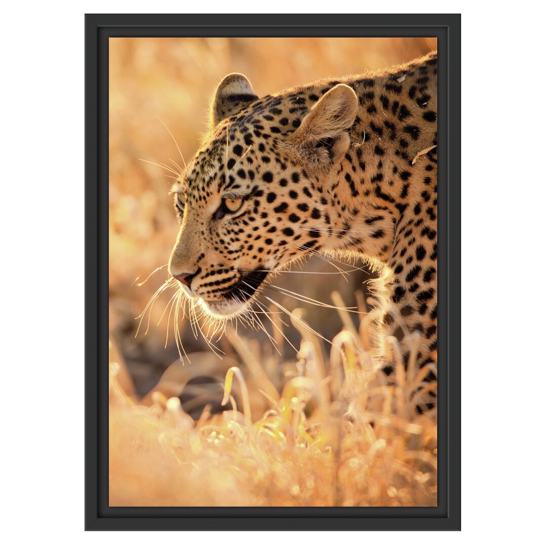 Gerahmtes Wandbild Jagender Leopard