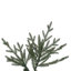  Sapin de Noël artificiel non illuminé de 9,5 pi x 60 po avec embouts de sapin artificiels en PE / PVC et support en métal pliable 3076 Itasca Fraser. Assemblage requis.-861564390-861564384-861564391