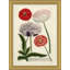 Flora in Pink Framed