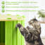 Lit pour animaux Fredel