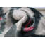 Coussin décoratif géométrique