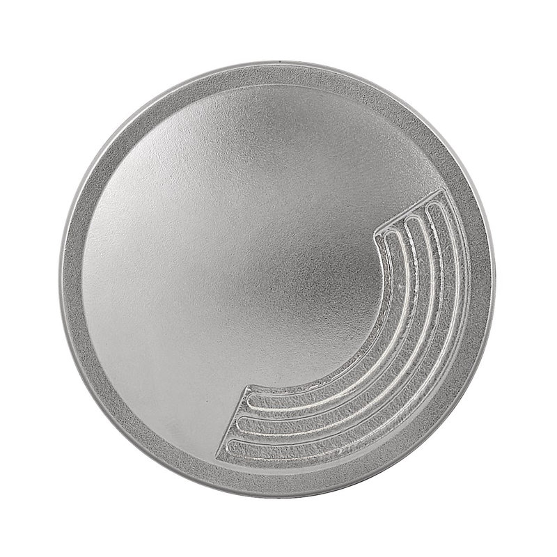Stainless Steel LED Low Voltage Well Light
