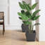 Pots à plantes d'intérieur et d'extérieur avec plateau Kozyard 4Packs Taper-702526693-702526618