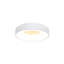 Aukievah LED Flush Mount-1701685625
