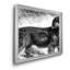 Sussex Spaniel - reproduction d'art sur toile-679599955-679599785